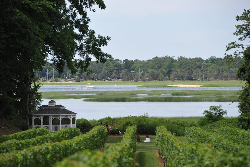 Vineyard «Harmony Vineyards», reviews and photos, 169 Harbor Rd, St James, NY 11780, USA