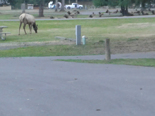 General Store «Brinnon General Store», reviews and photos, 306413 US-101, Brinnon, WA 98320, USA