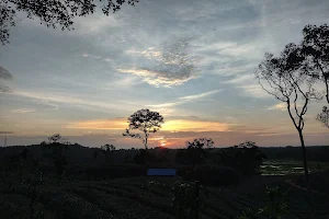 Pineapple farm sunset viewpoint image