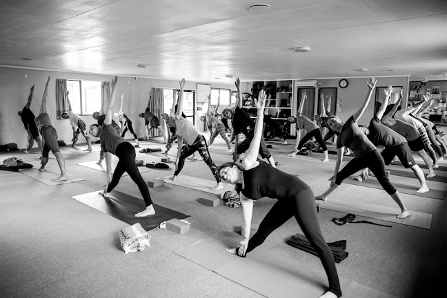Reviews of Tauranga Yoga Centre in Tauranga - Yoga studio