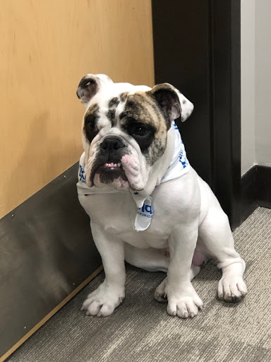 Employment Agency «Express Employment Professionals of Denver, CO», reviews and photos, 45 S Wadsworth Blvd Suite B, Lakewood, CO 80226, USA