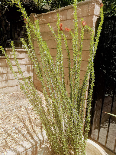 Bowling Alley «Chaparral 300 - We may close 1 hour early Sun-Thurs depending on volume, please call for details.», reviews and photos, 4191 Chino Hills Pkwy, Chino Hills, CA 91709, USA