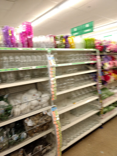 Dollar Store «Dollar Tree», reviews and photos, 2279 N 2nd St, Millville, NJ 08332, USA