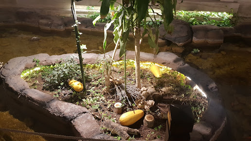 أوزيل أنقرة ماياجوز هاستالوكلار ميركزي - Ozel Ankara MAYAGÖZ Hastalıkları Merkezi