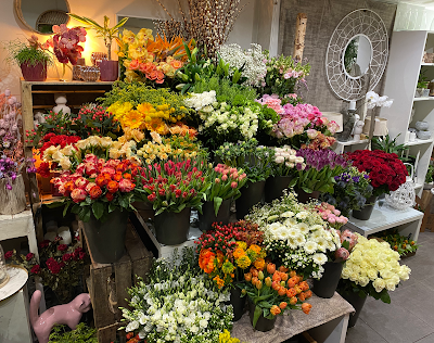 Une Histoire Une Fleur à Schiltigheim