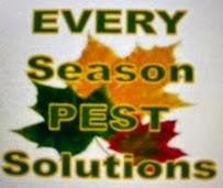 Every Season Pest Solutions - Photo 6 - Car repair in , Athens