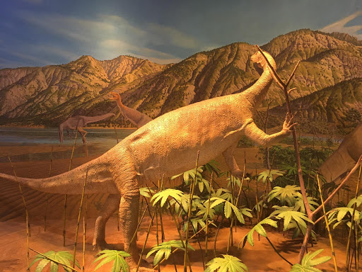 Museum «Beneski Museum of Natural History», reviews and photos, 11 Barrett Hill Rd, Amherst, MA 01002, USA