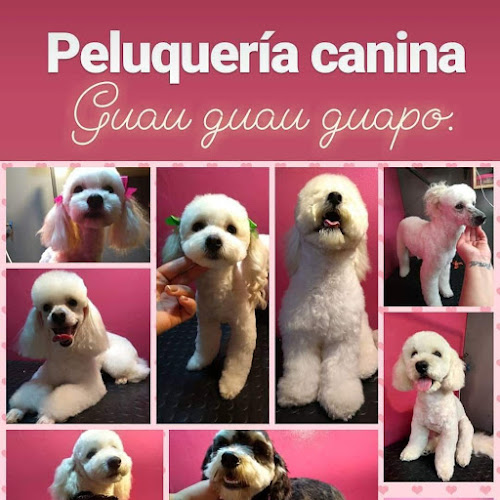 Peluquería canina Guau Guau Guapo. - Los Ángeles