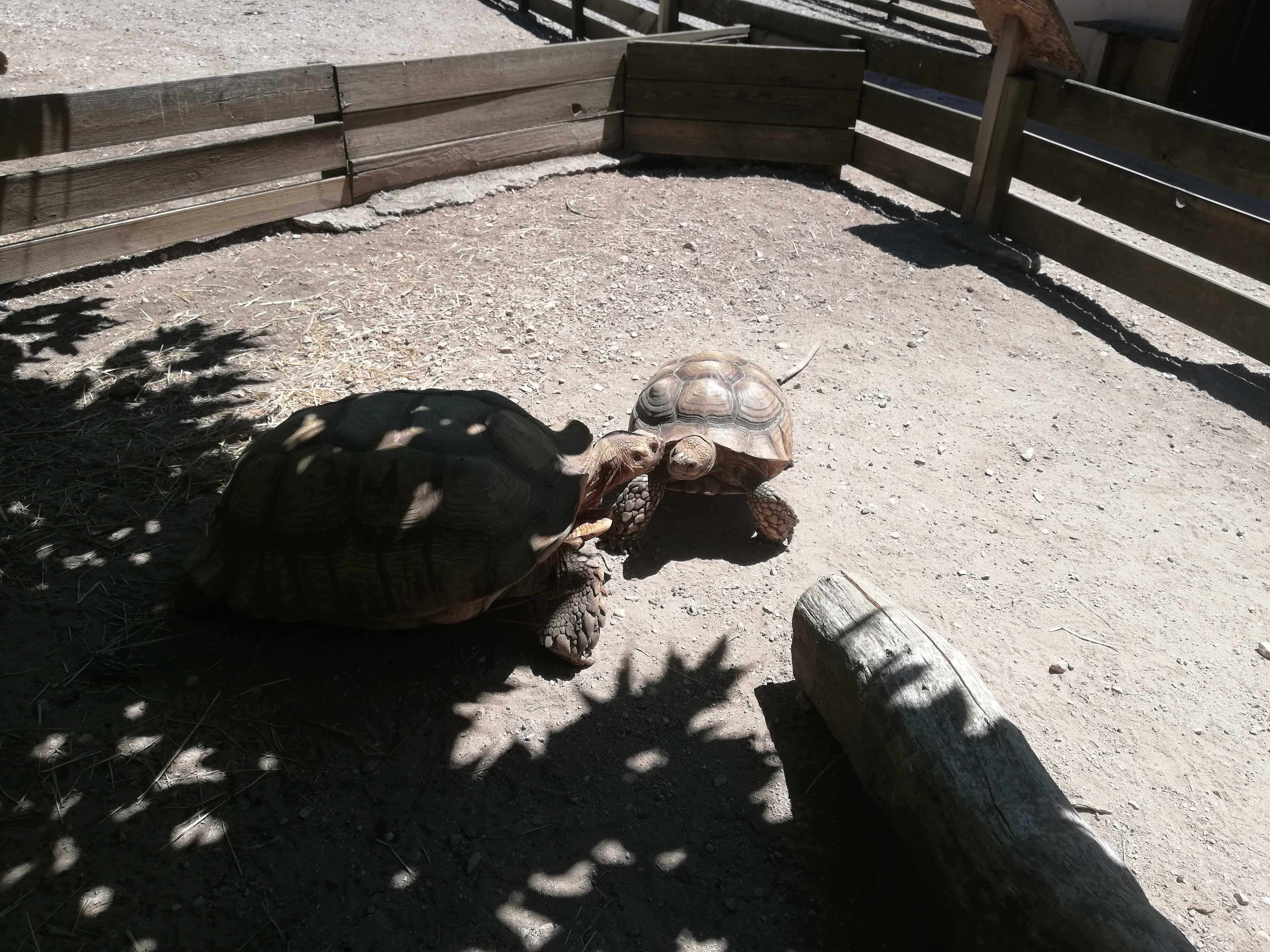 Photo n° 7 de l'avis de Jo.e fait le 05/07/2020 à 21:23