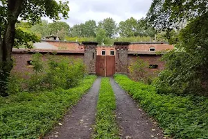 Fort Vostochny image