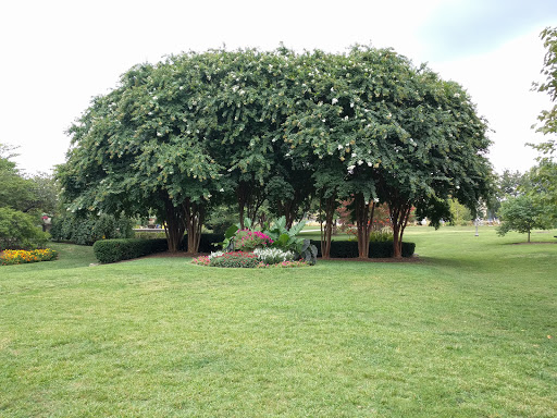 Art Museum «The Parthenon», reviews and photos, 2500 West End Ave, Nashville, TN 37203, USA