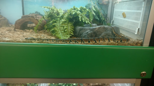 Pet Supply Store «Pet Supplies Plus», reviews and photos, 2410 Augusta Rd, West Columbia, SC 29169, USA