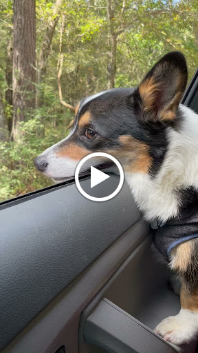 Park «Lake Houston Wilderness Park», reviews and photos, 25840 FM 1485, New Caney, TX 77357, USA