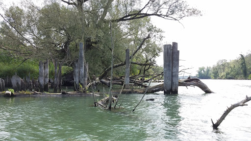 National Reserve «Montezuma National Wildlife Refuge», reviews and photos, 3395 US-20, Seneca Falls, NY 13148, USA