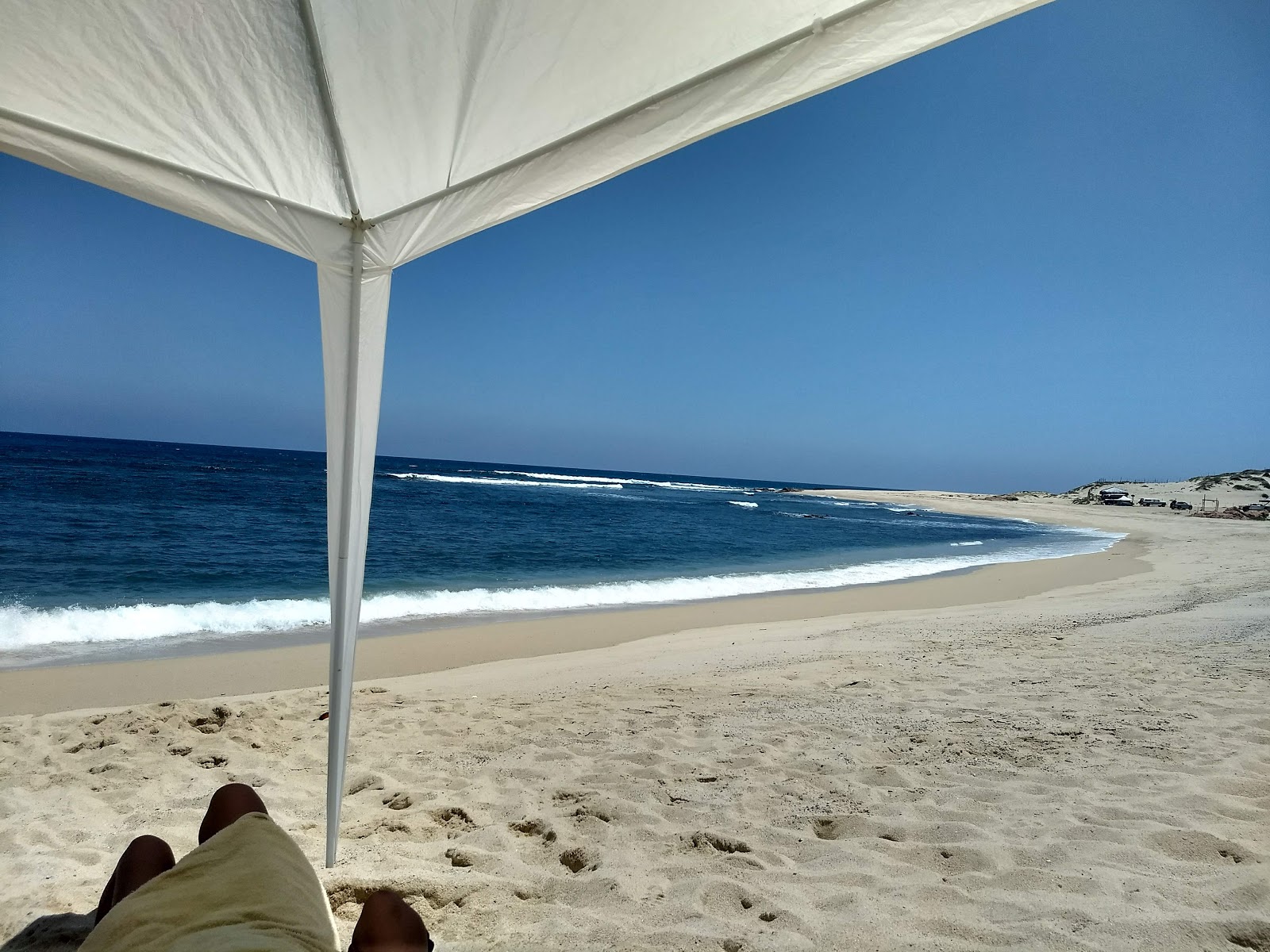 Nine Palms photo #7