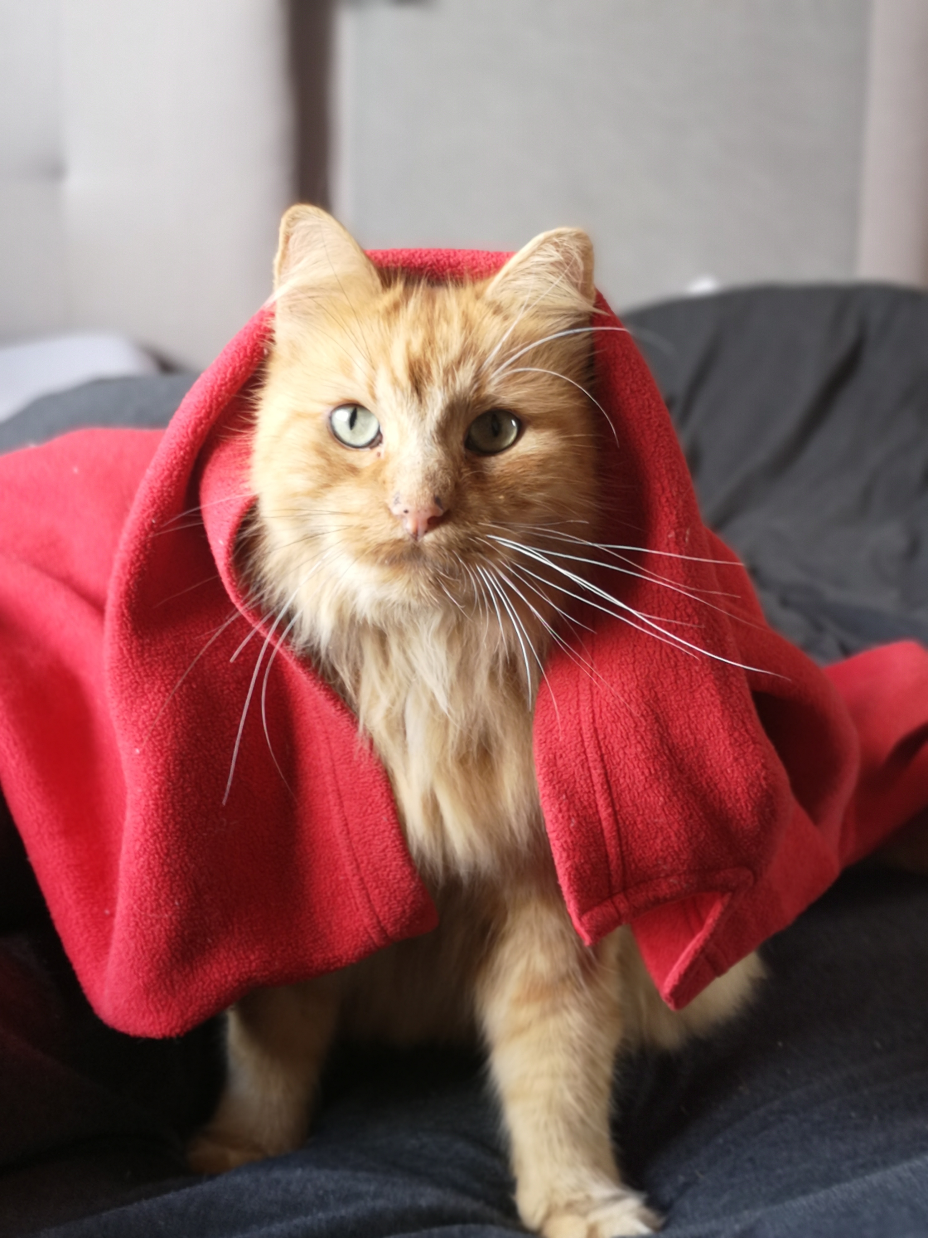 Photo n° 1 de l'avis de sophie.h fait le 16/11/2020 à 18:50