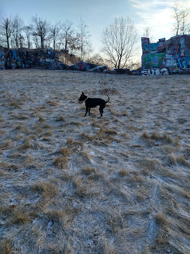 Coffee Shop «Donut King», reviews and photos, 151 Copeland St, Quincy, MA 02169, USA