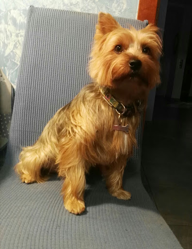 FAULA Xaló en Xaló, Alicante