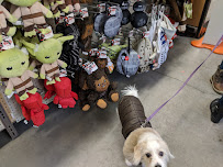 Unleashed by Petco - Photo 5 - Car repair in Brooklyn, NY, New York