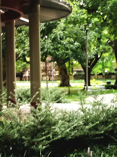 Park «Dawson Park», reviews and photos, 2926 N Williams Ave, Portland, OR 97227, USA