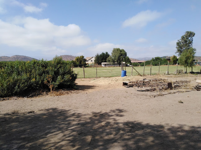 Opiniones de Cancha de la vega en Melipilla - Campo de fútbol
