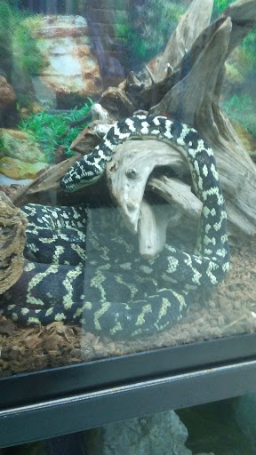 Reptile Store «The House Of Reptiles», reviews and photos, 5501-1 Beach Blvd, Jacksonville, FL 32207, USA