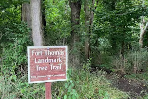 Fort Thomas Landmark Tree Trail image