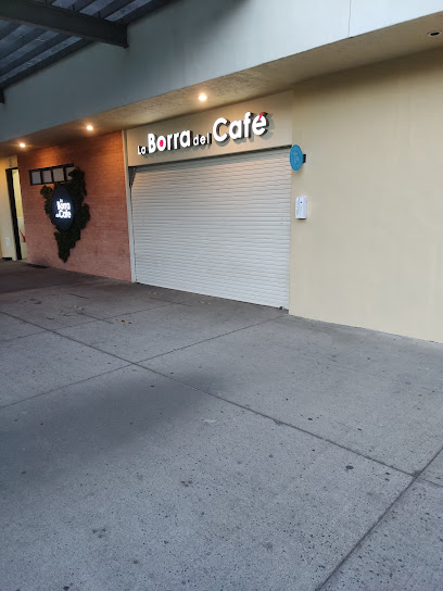 La borra del Café Flex Norte
