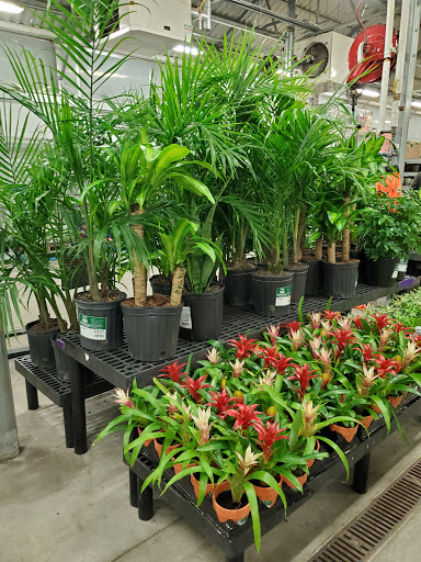 Discount Store «Walmart», reviews and photos, 970 Torringford St, Torrington, CT 06790, USA