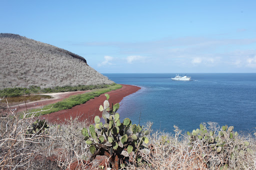 SA Expeditions image