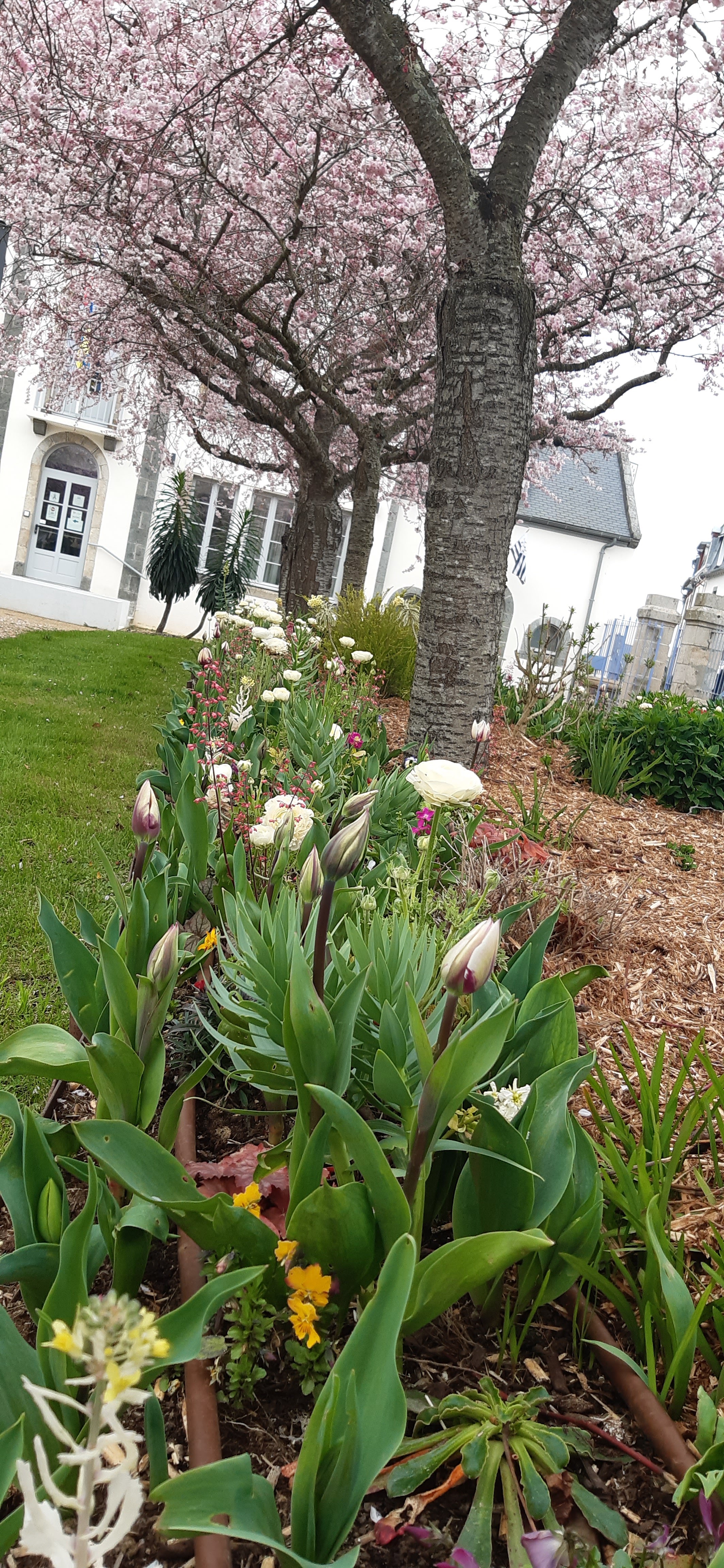 Photo n° 1 de l'avis de Germain.e fait le 20/03/2022 à 14:43