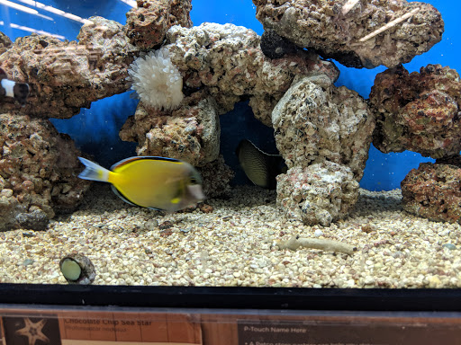 Pet Supply Store «Petco Animal Supplies», reviews and photos, 4491 Kirkwood Hwy, Wilmington, DE 19808, USA