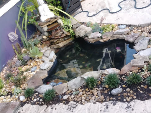 Pet Supply Store «Pet Supermarket», reviews and photos, 2924 13th St, St Cloud, FL 34769, USA