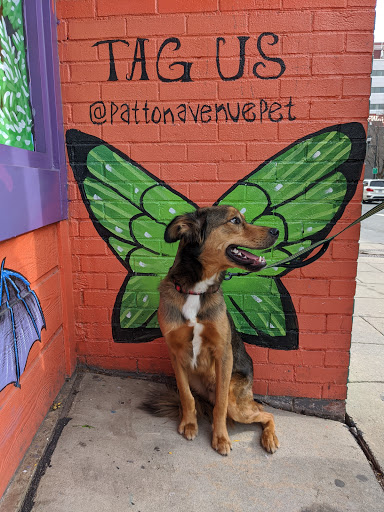 Pet Supply Store «Patton Avenue Pet Company- Downtown», reviews and photos, 109 Patton Ave, Asheville, NC 28801, USA