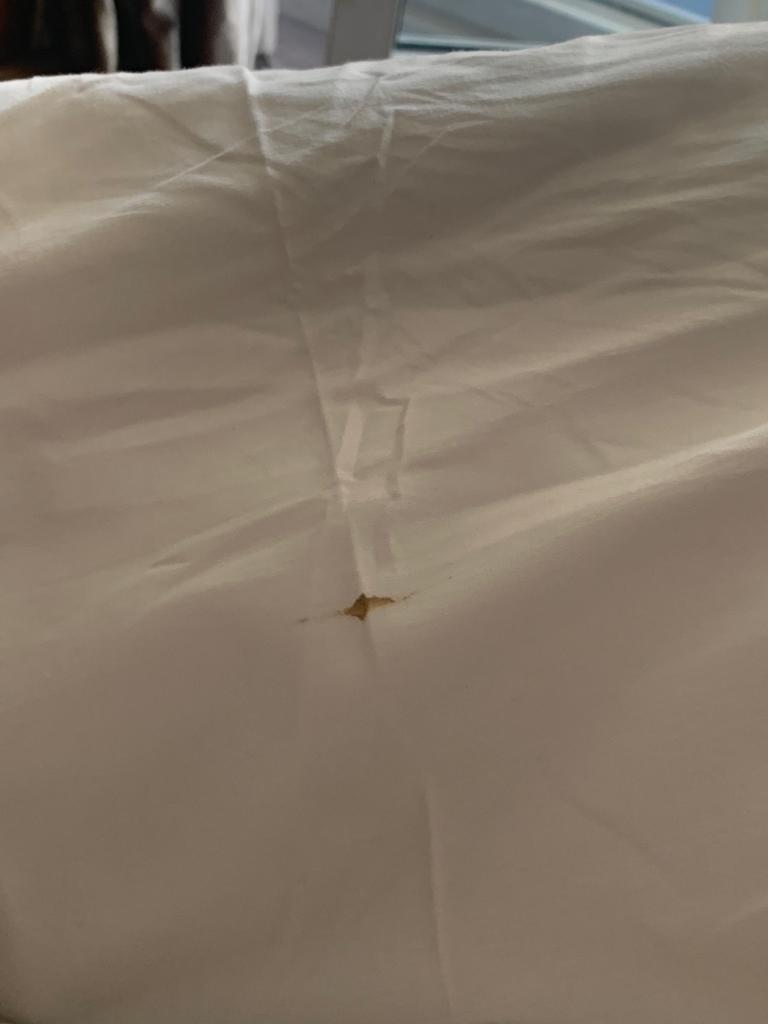 Photo n° 9 de l'avis de Narcisse. fait le 10/05/2023 à 18:23