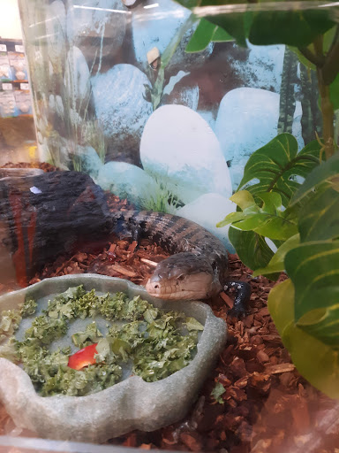 Pet Supply Store «Petco Animal Supplies», reviews and photos, 175 Grandview Blvd #600, Madison, MS 39110, USA