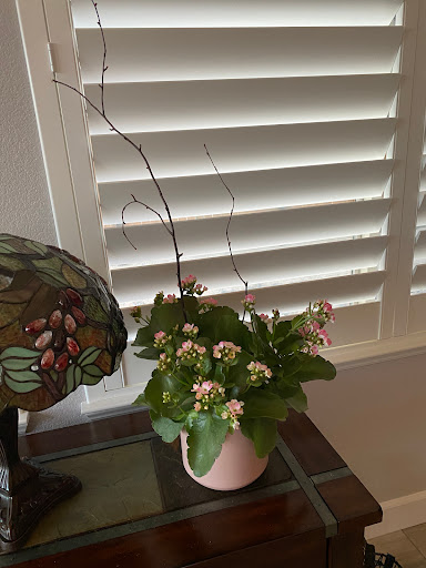 Florist «Sparks Florist®», reviews and photos, 5000 Smithridge Dr Suite C3, Reno, NV 89502, USA