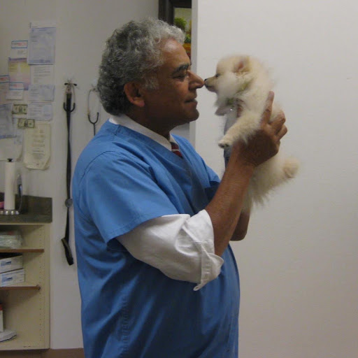 Westgate Animal Hospital image