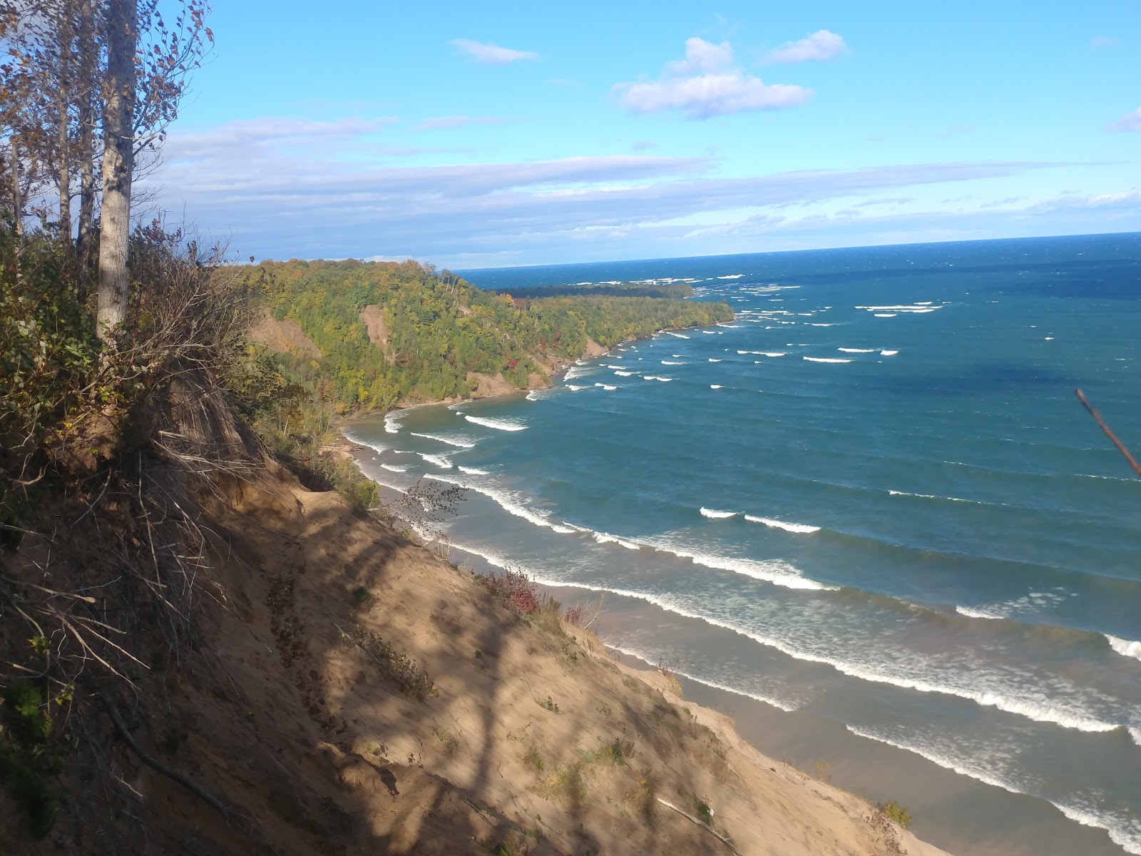 Log Slide Beach photo #8