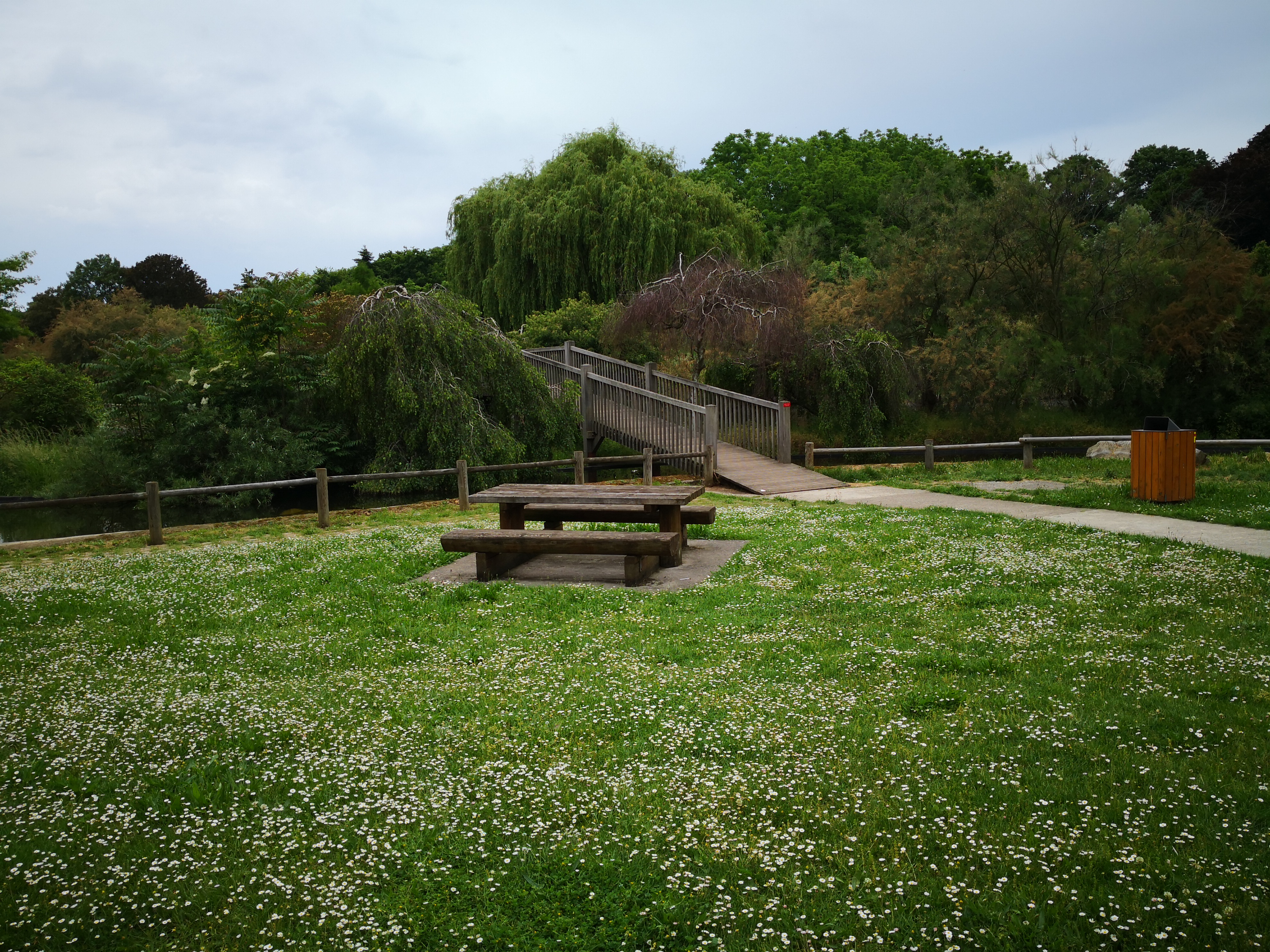 Photo n° 3 de l'avis de qamar. fait le 20/05/2018 à 07:54