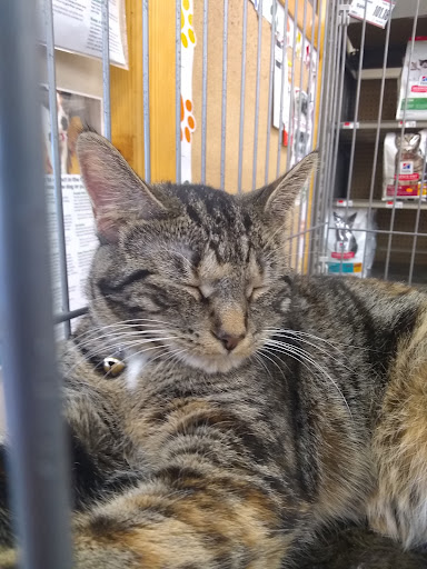 Pet Supply Store «Pet Supplies Plus», reviews and photos, 7701 Mall Rd, Florence, KY 41042, USA