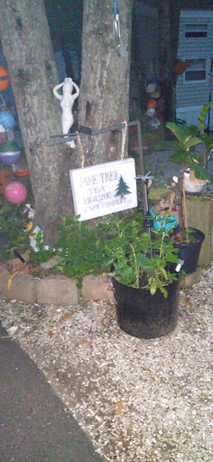 Campground «Sea Grove Camping Resort», reviews and photos, 2665 U.S. 9, Ocean View, NJ 08230, USA