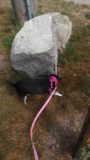 Park «Bradford Hawes Park», reviews and photos, 167 Lakehurst Ave, Weymouth, MA 02189, USA