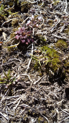 Golf Course «Kissena Park Golf Course», reviews and photos, 164-15 Booth Memorial Ave, Fresh Meadows, NY 11365, USA