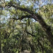 Fort George Island Cultural State Park