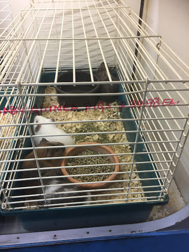 Pet Store «Fontana Tropical Fish & Pets», reviews and photos, 9830 Sierra Ave, Fontana, CA 92335, USA