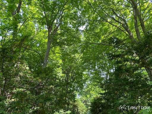 Museum «Oldfields–Lilly House & Gardens», reviews and photos, 4000 N Michigan Rd, Indianapolis, IN 46208, USA