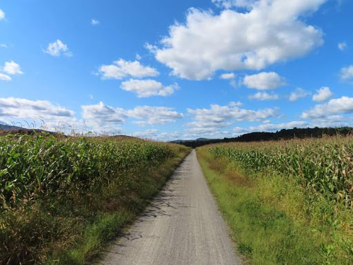 Lamoille Valley Rail Trail – Hyde Park Trailhead and Parking