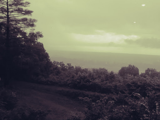 Resort «Park Mammoth Resort», reviews and photos, 22850 Louisville Rd, Park City, KY 42160, USA