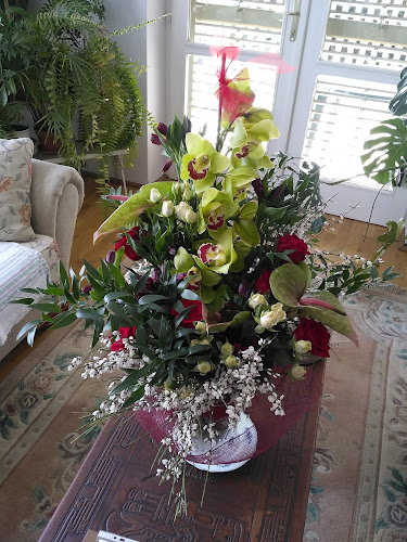 Értékelések erről a helyről: Klinyecz Zsuzsi virágboltja, Szentendre - Virágárus